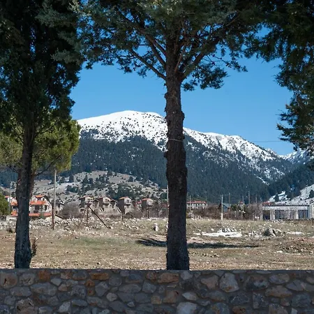 Dianne 1 Livadi Arachovas